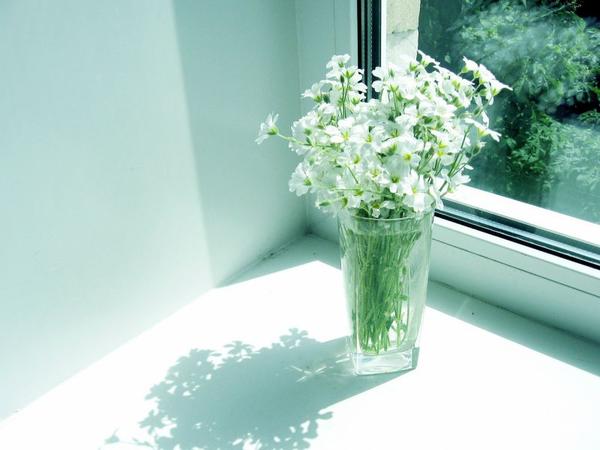 Энергосберегающий стеклопакет и цветы